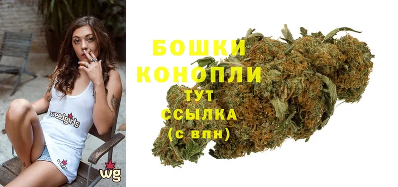 Шишки марихуана OG Kush  Бологое 